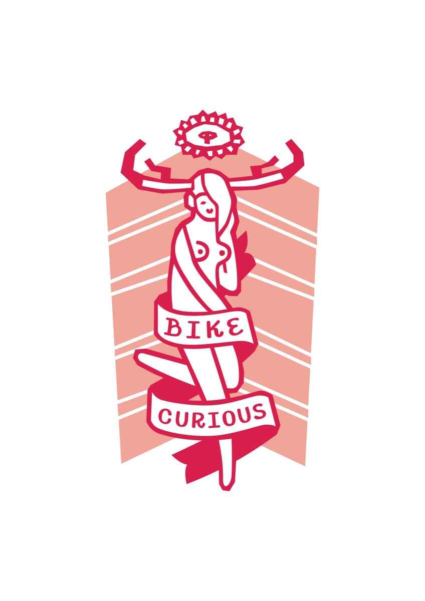 bike-curious-2012-digital